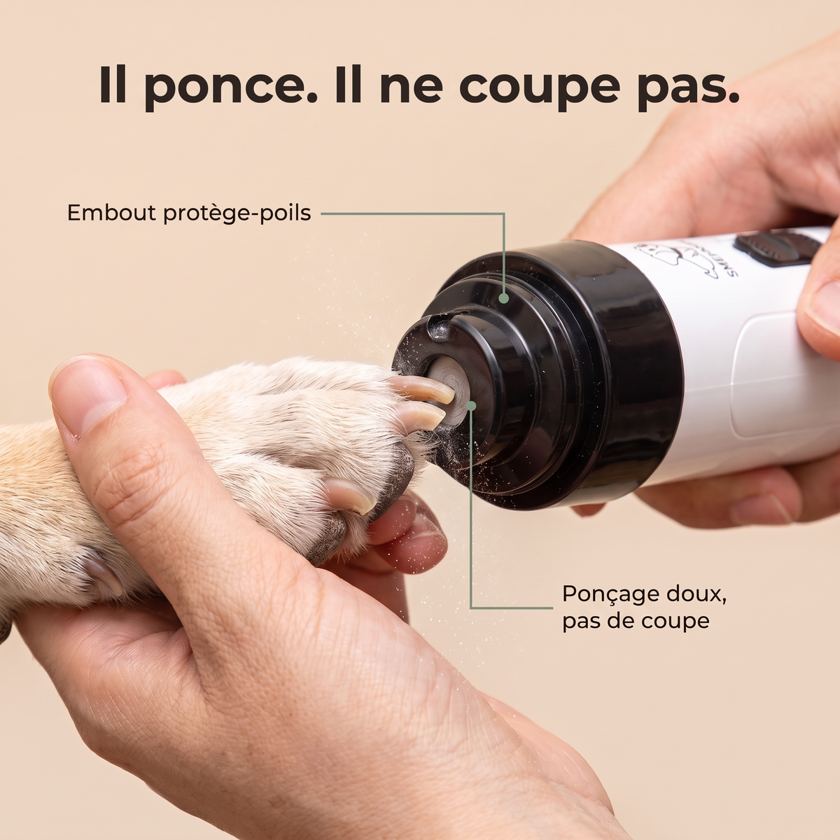 Griffe de chien dans l'embout de la lime Cajole : elle ponce, elle ne coupe pas